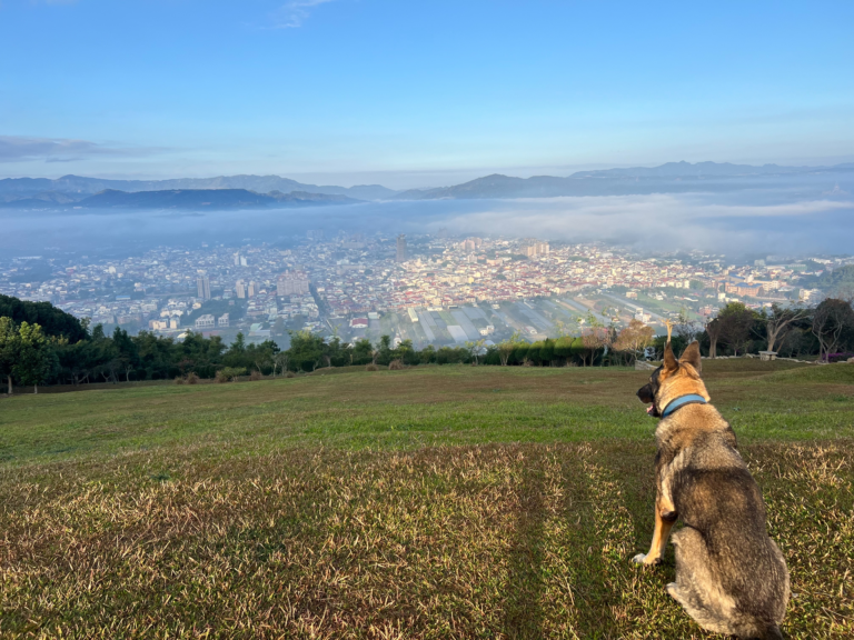 虎嘯山嵐景觀餐廳